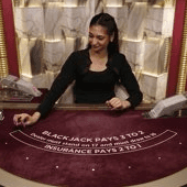 Blackjack VIP 15 game icon