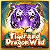 Tiger and Dragon Wild game icon